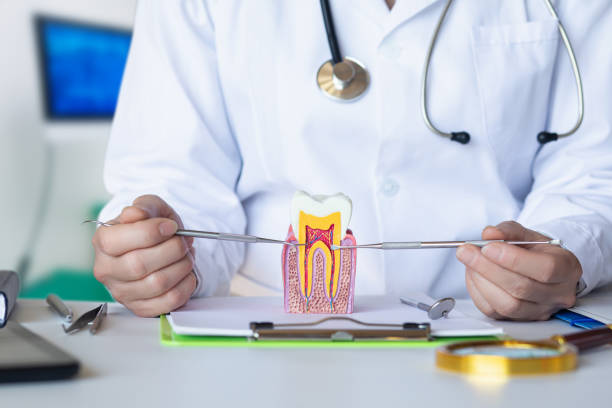Best Emergency Root Canal Treatment in Ortonville, MN